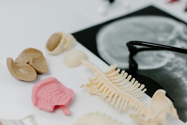 Wie kann man den Jo-Jo-Effekt nach einer DiÃ¤t vermeiden?